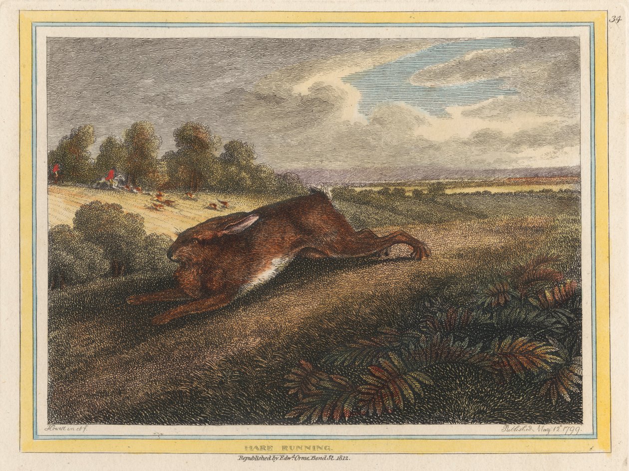 Lièvre courant - Samuel Howitt