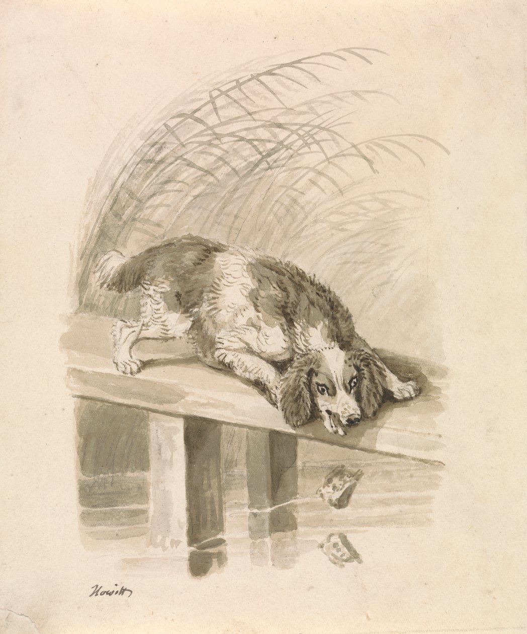 Le Chien et l