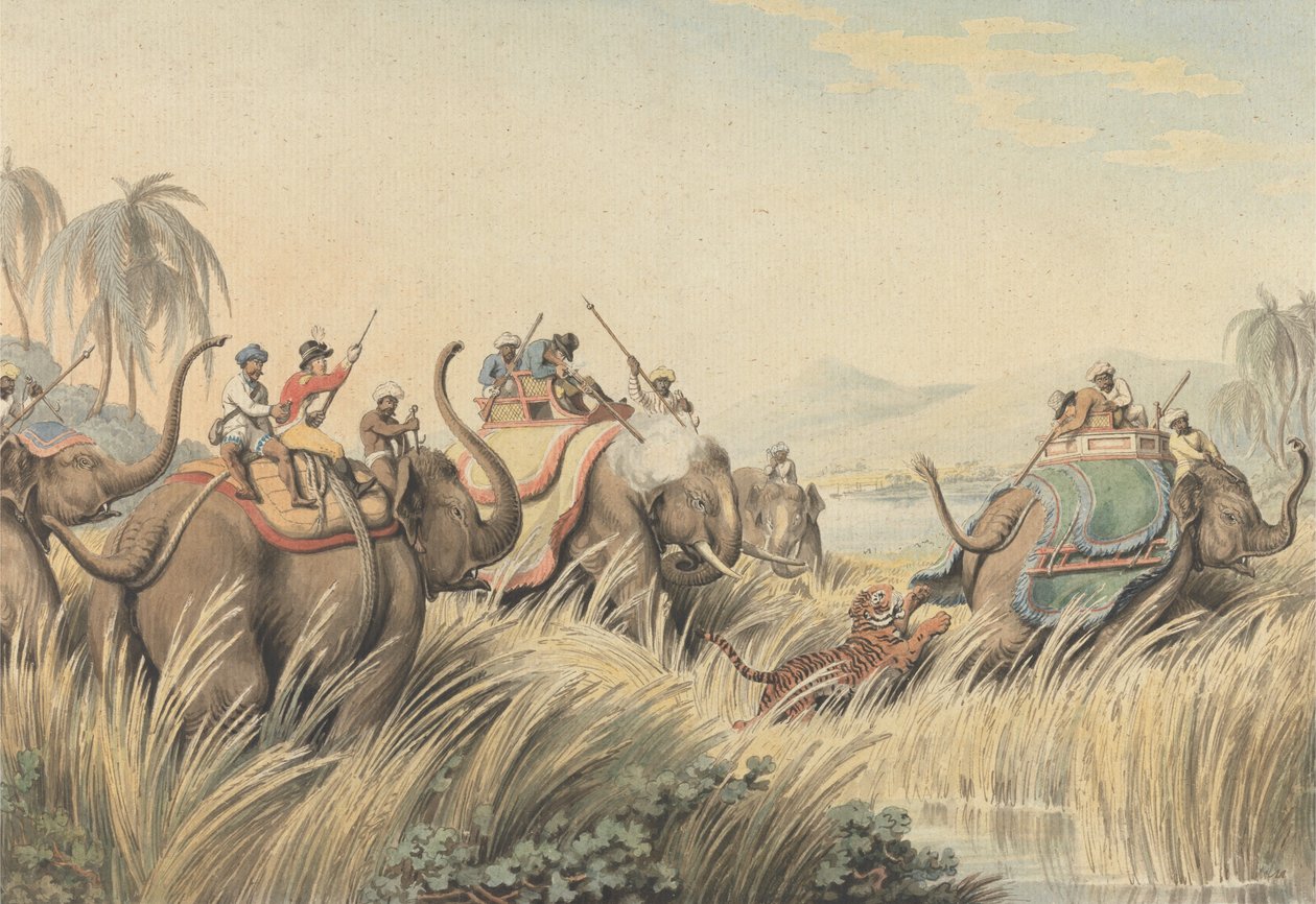 Le tigre acculé : une illustration pour « Oriental Field Sports » du capitaine Thomas Williamson - Samuel Howitt