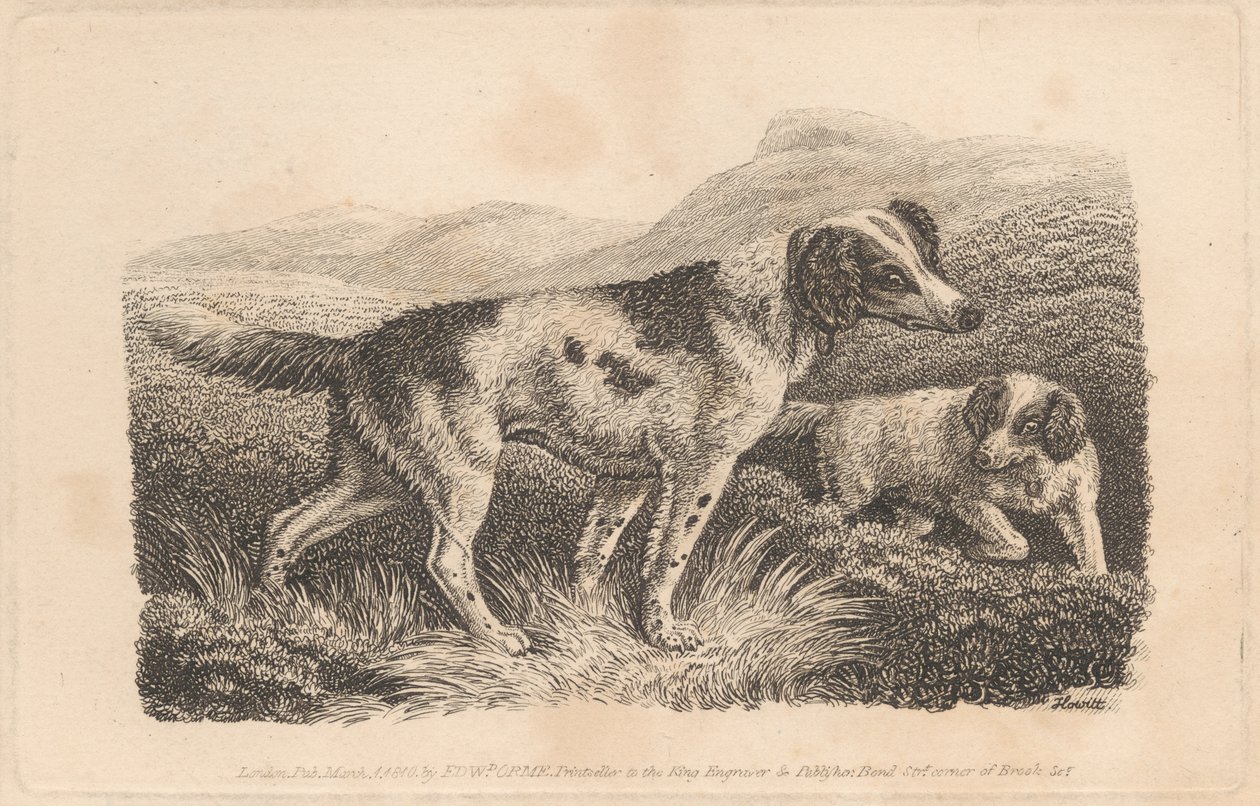 Deux chiens - Samuel Howitt