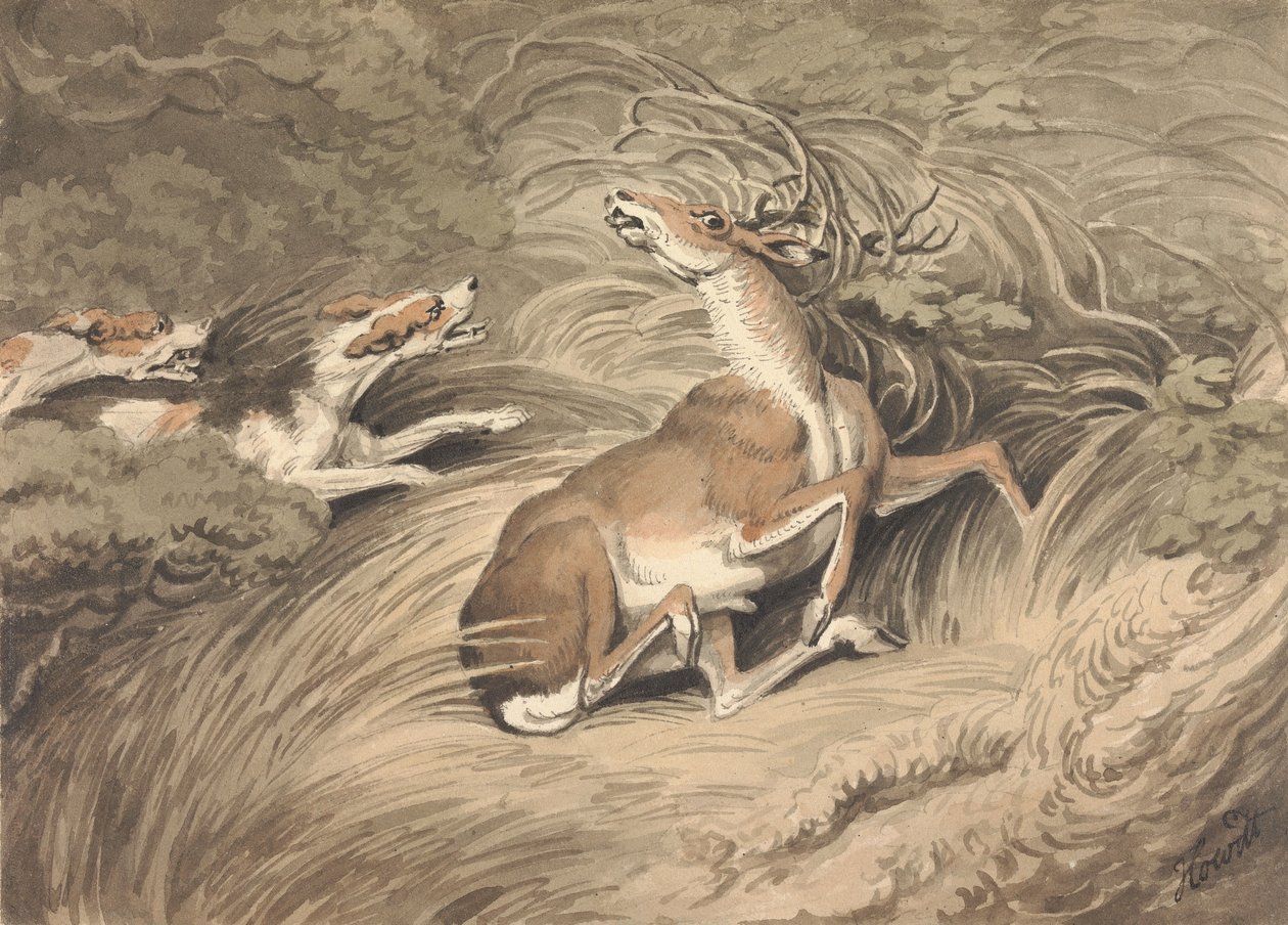 Deux chiens de chasse attaquant un cerf acculé - Samuel Howitt