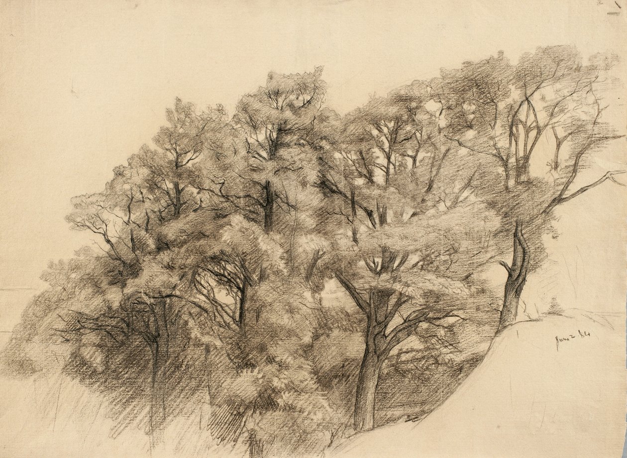 Paysage avec arbres, 1884 - Samuel Isham