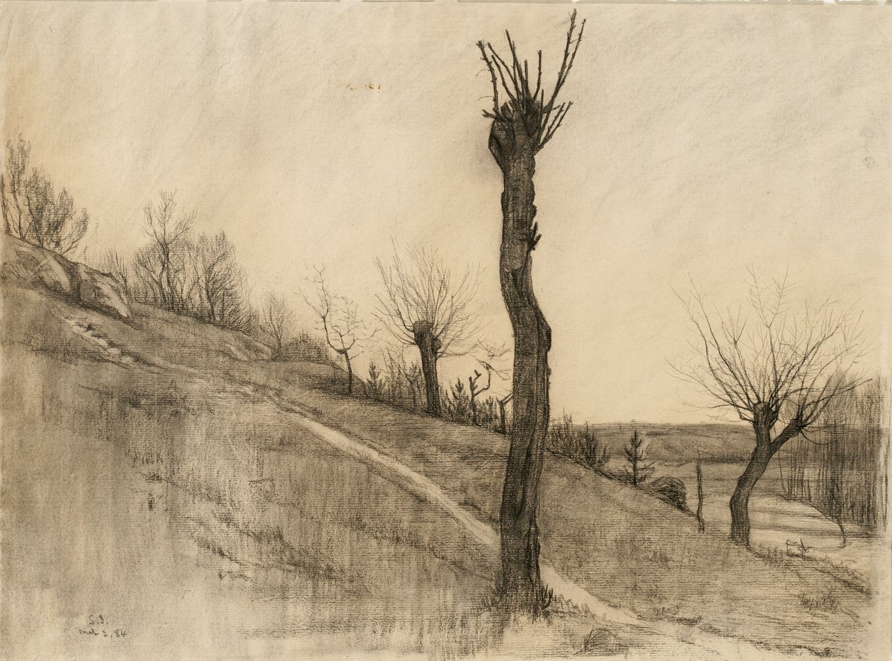 Paysage de fin d