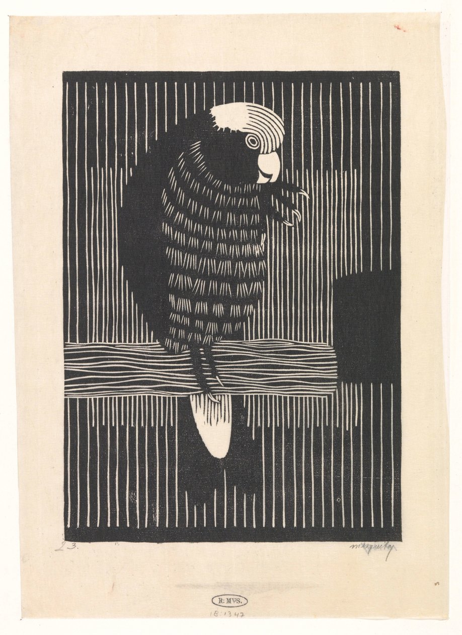 Cacatoès rosalbin - Samuel Jessurun de Mesquita (signed by artist)