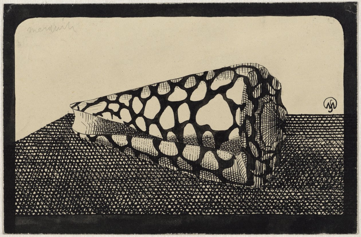 Coquillage, vers la gauche - Samuel Jessurun de Mesquita