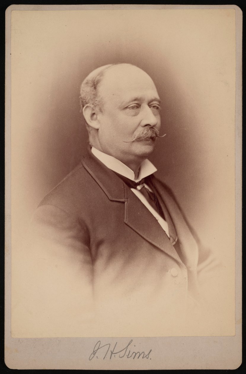 Portrait de J.H. Sims, entre 1876 et 1880 - Samuel Montague Fassett