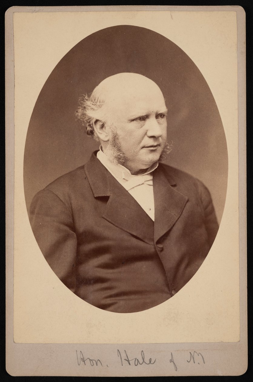 Portrait de Robert Safford Hale 1822-1881, avant 1881 - Samuel Montague Fassett