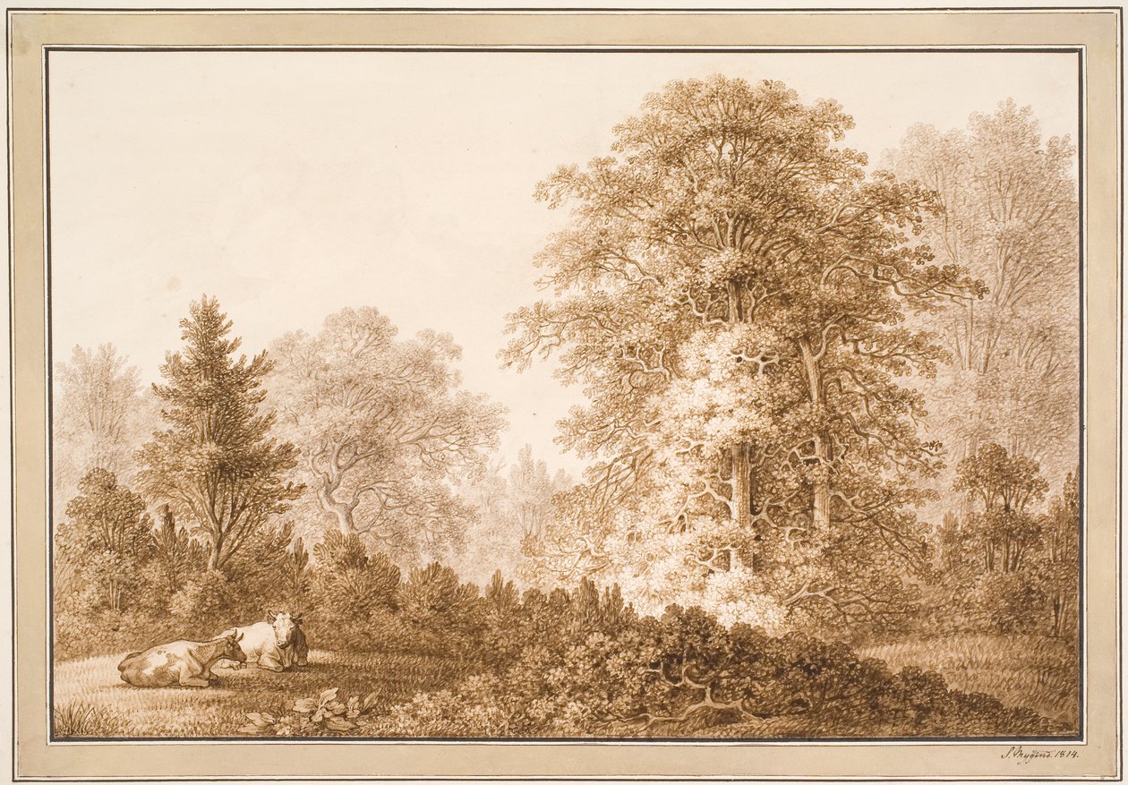 Paysage forestier avec deux vaches couchées - Samuel Mygind