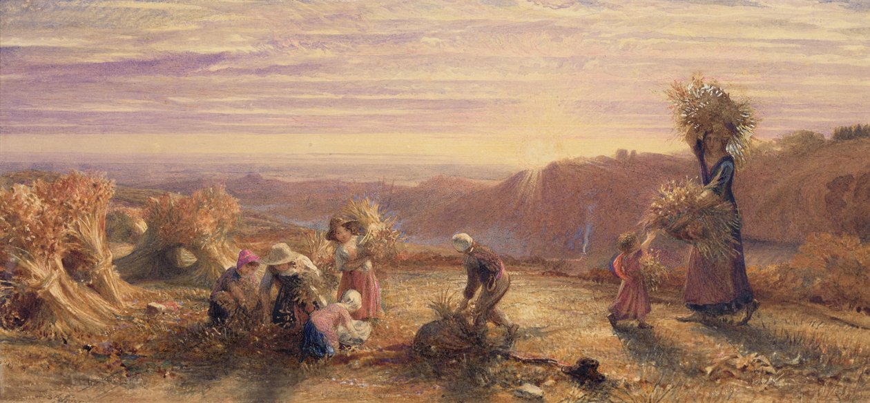 Coucher de soleil sur les champs de glanage - Samuel Palmer