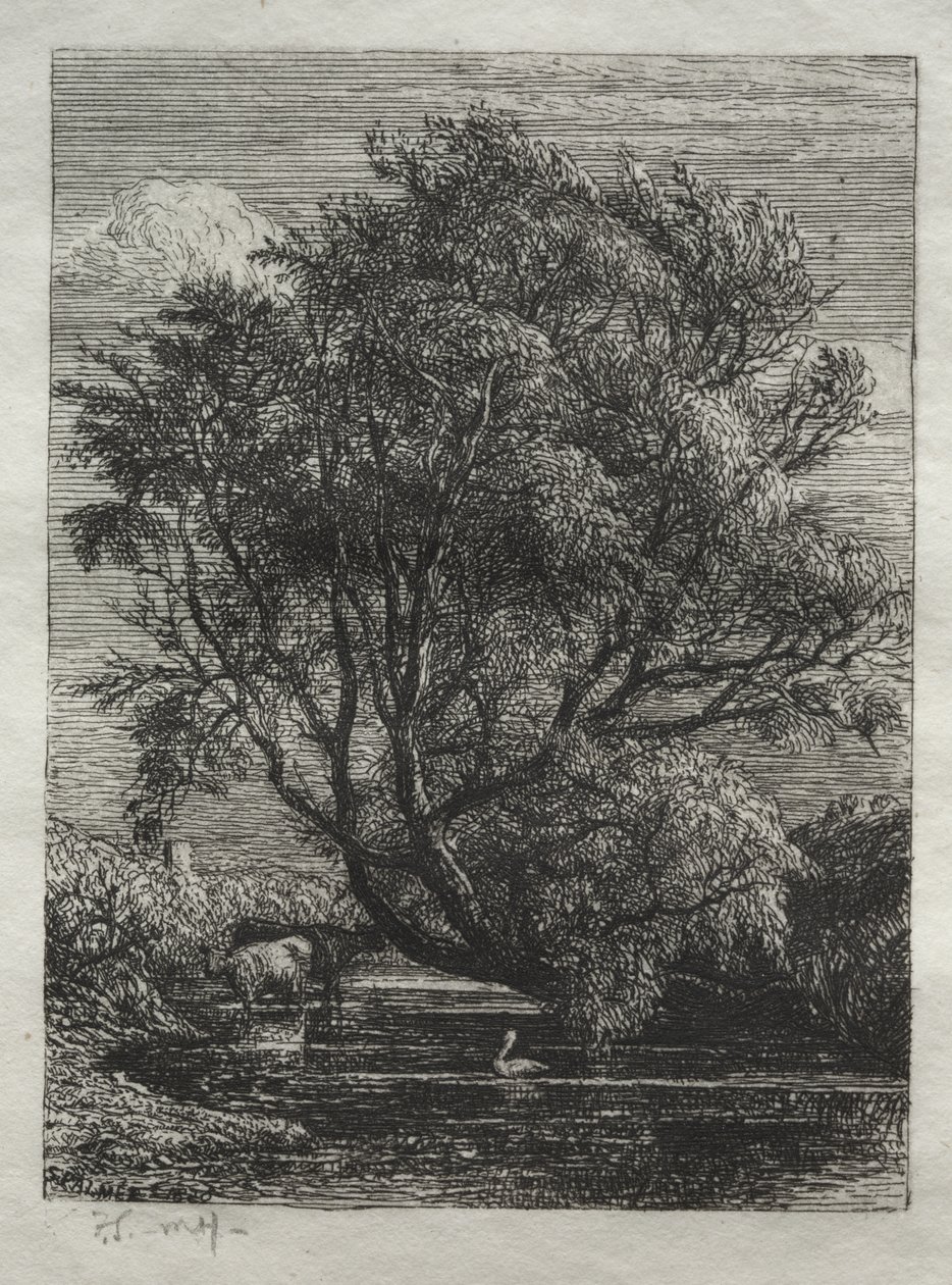 Le saule - Samuel Palmer
