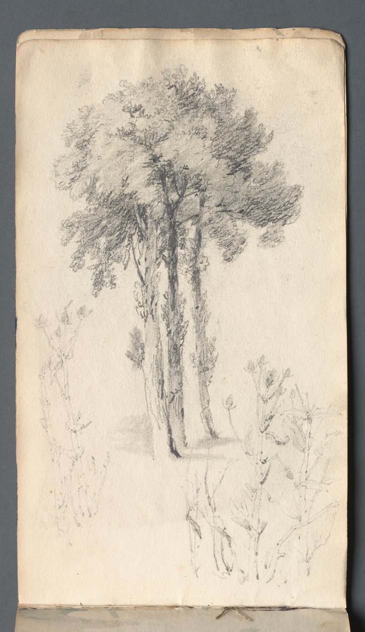 Carnet de croquis : Étude d