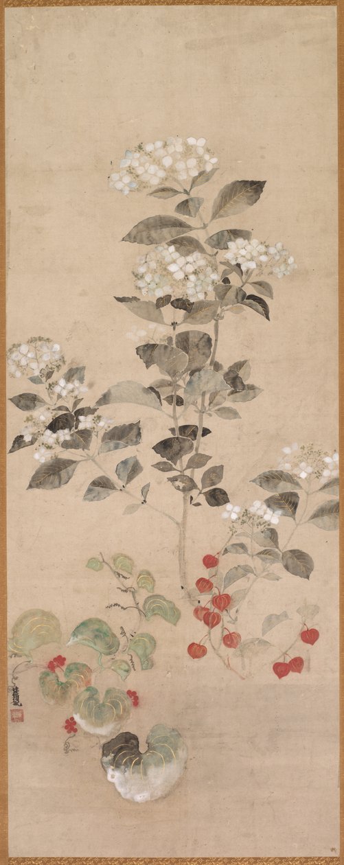 Fleurs d