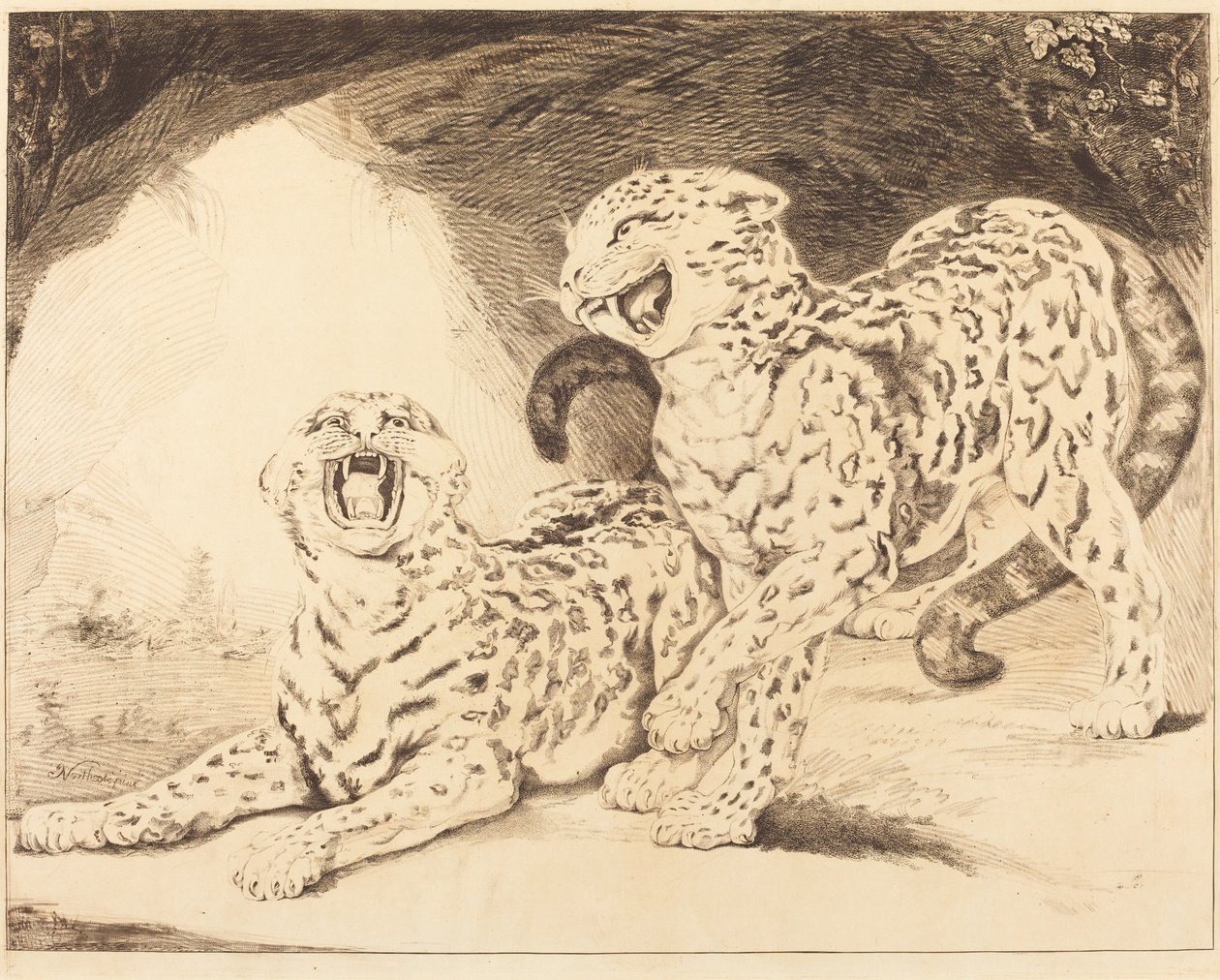Léopards - Samuel William Reynolds I after James Northcote