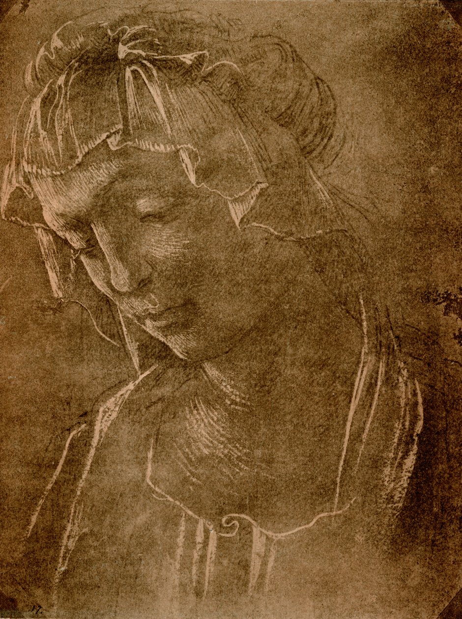 Tête féminine - Sandro Botticelli