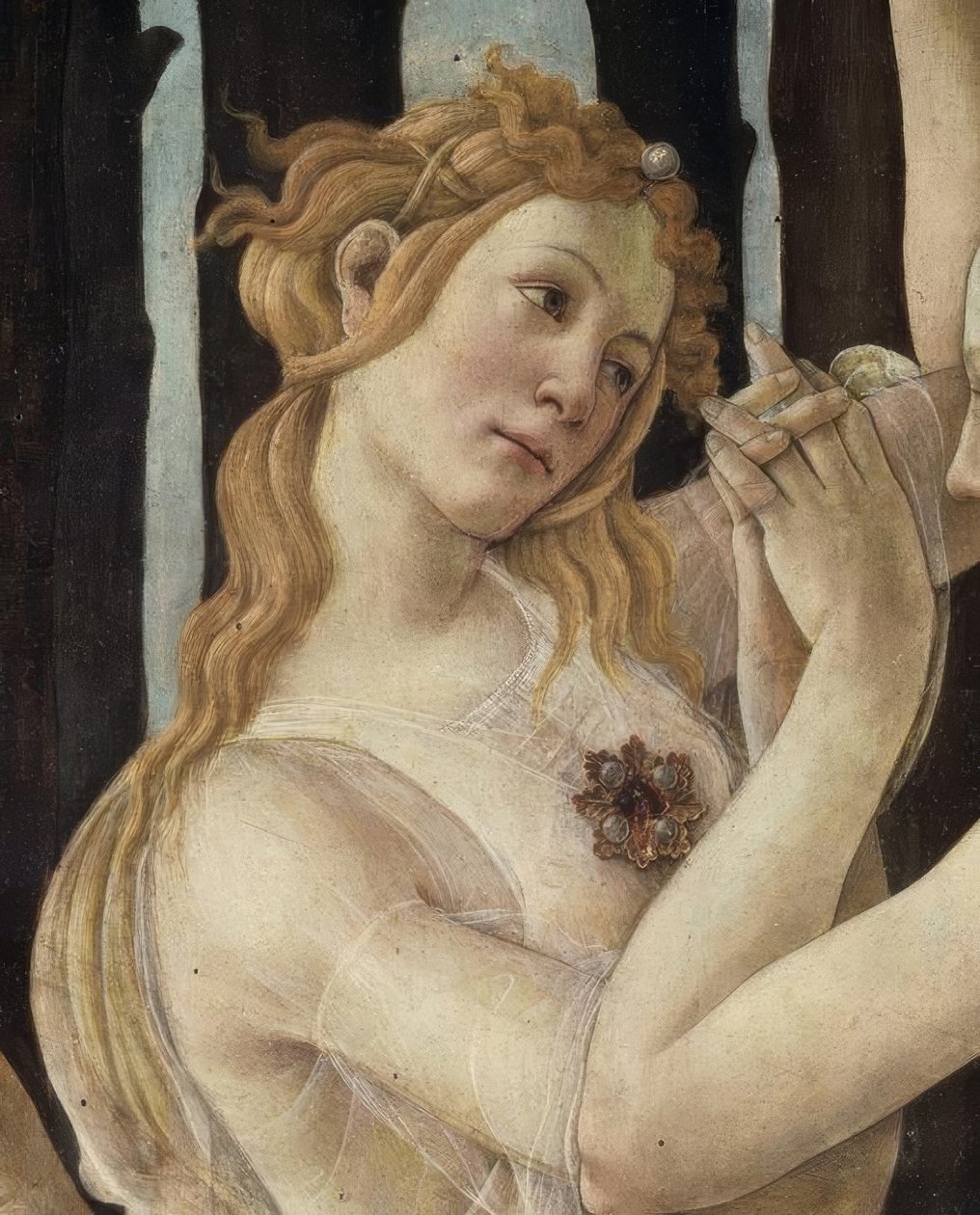 La Primavera - Sandro Botticelli