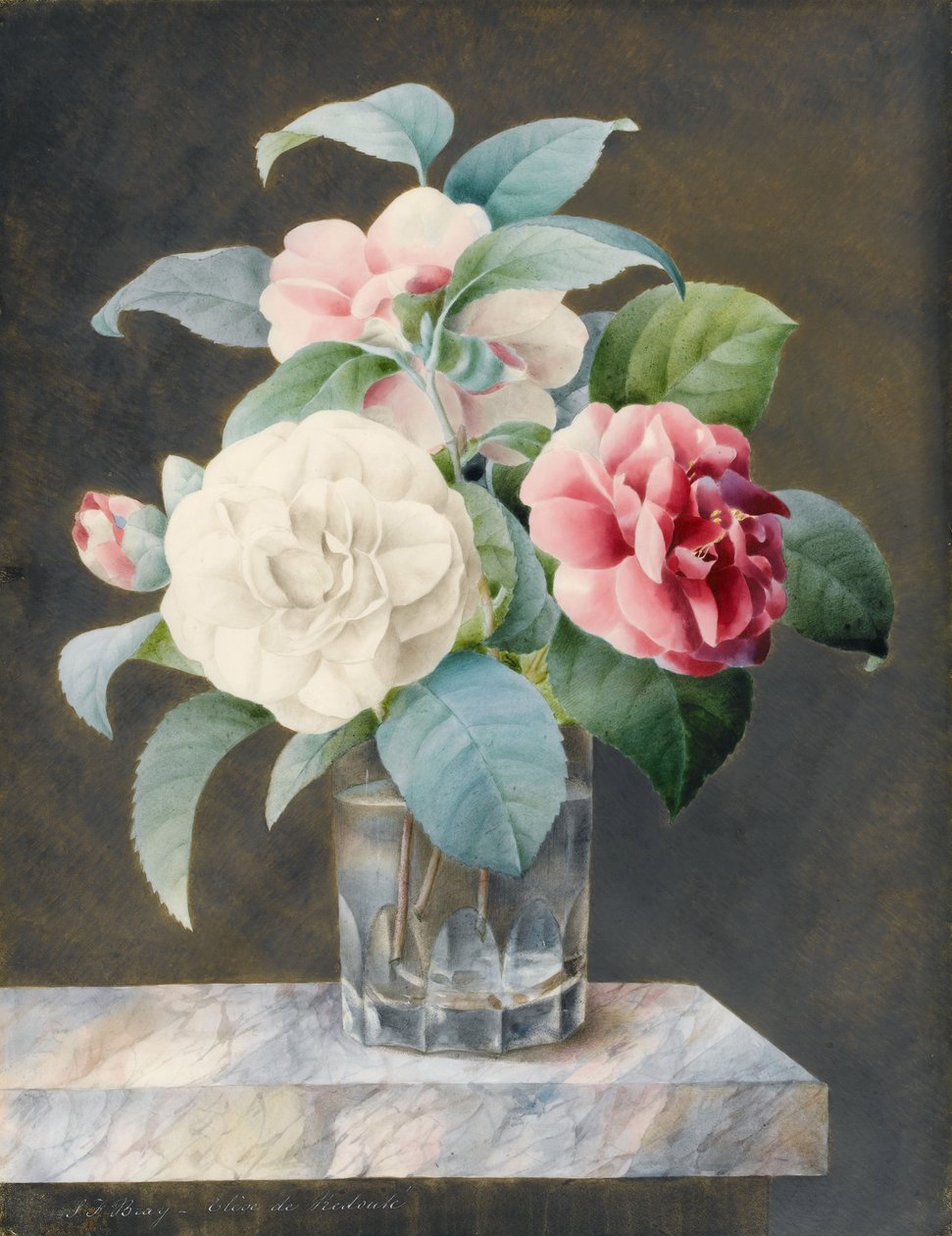 Vase en verre taillé contenant des camélias blancs, roses et rouges sur une dalle de marbre variée - Sarah Bray