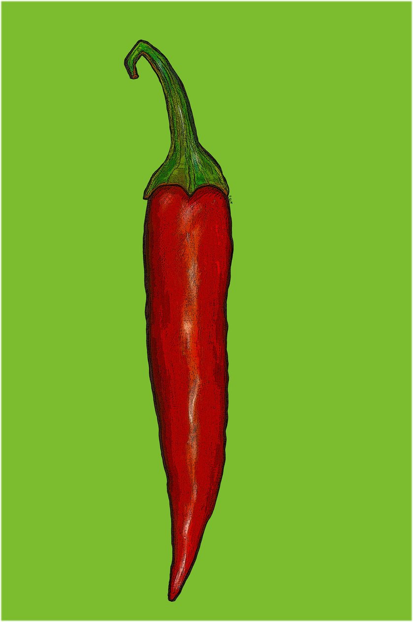 Piment rouge - Sarah Thompson-Engels