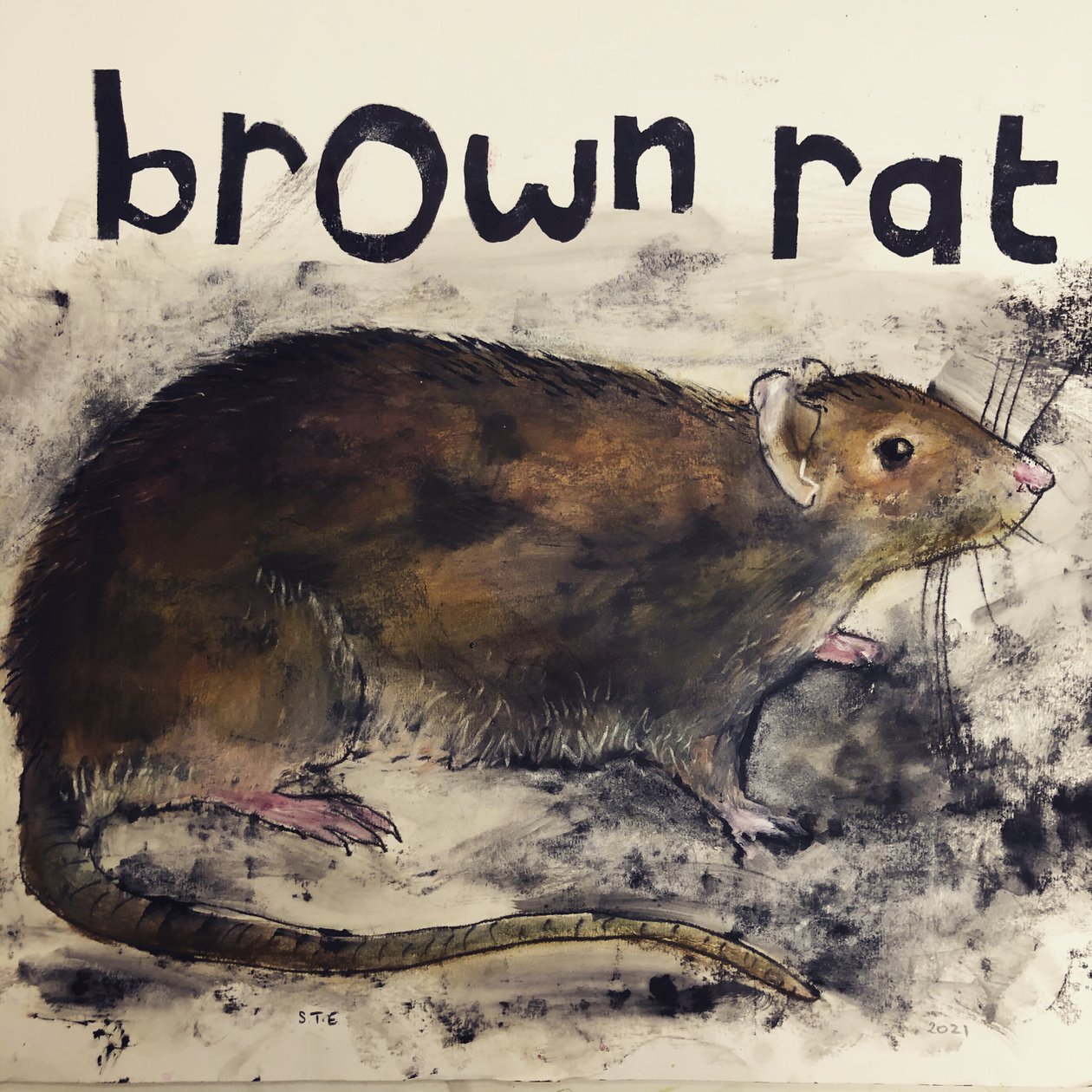 Rat brun, 2021 - Sarah Thompson Engels