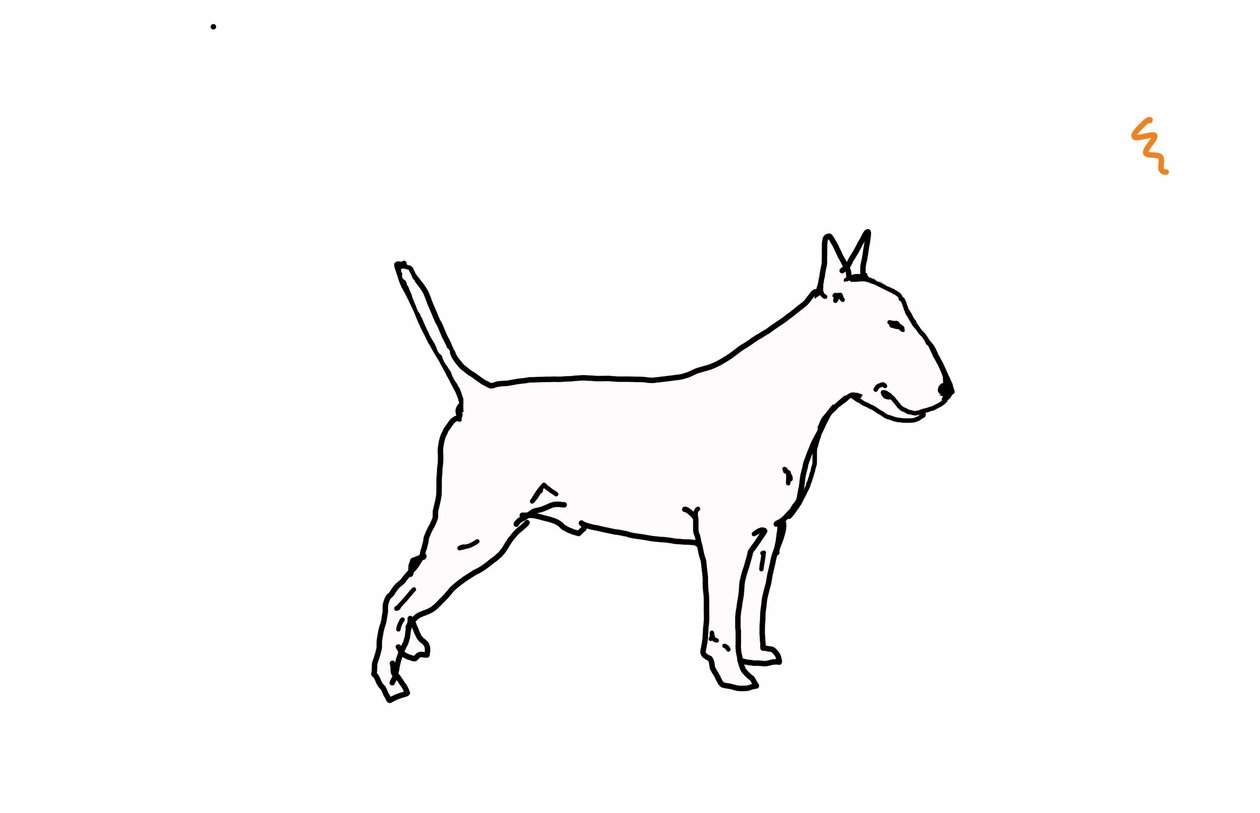 Bull terrier, 2018 - Sarah Thompson Engels