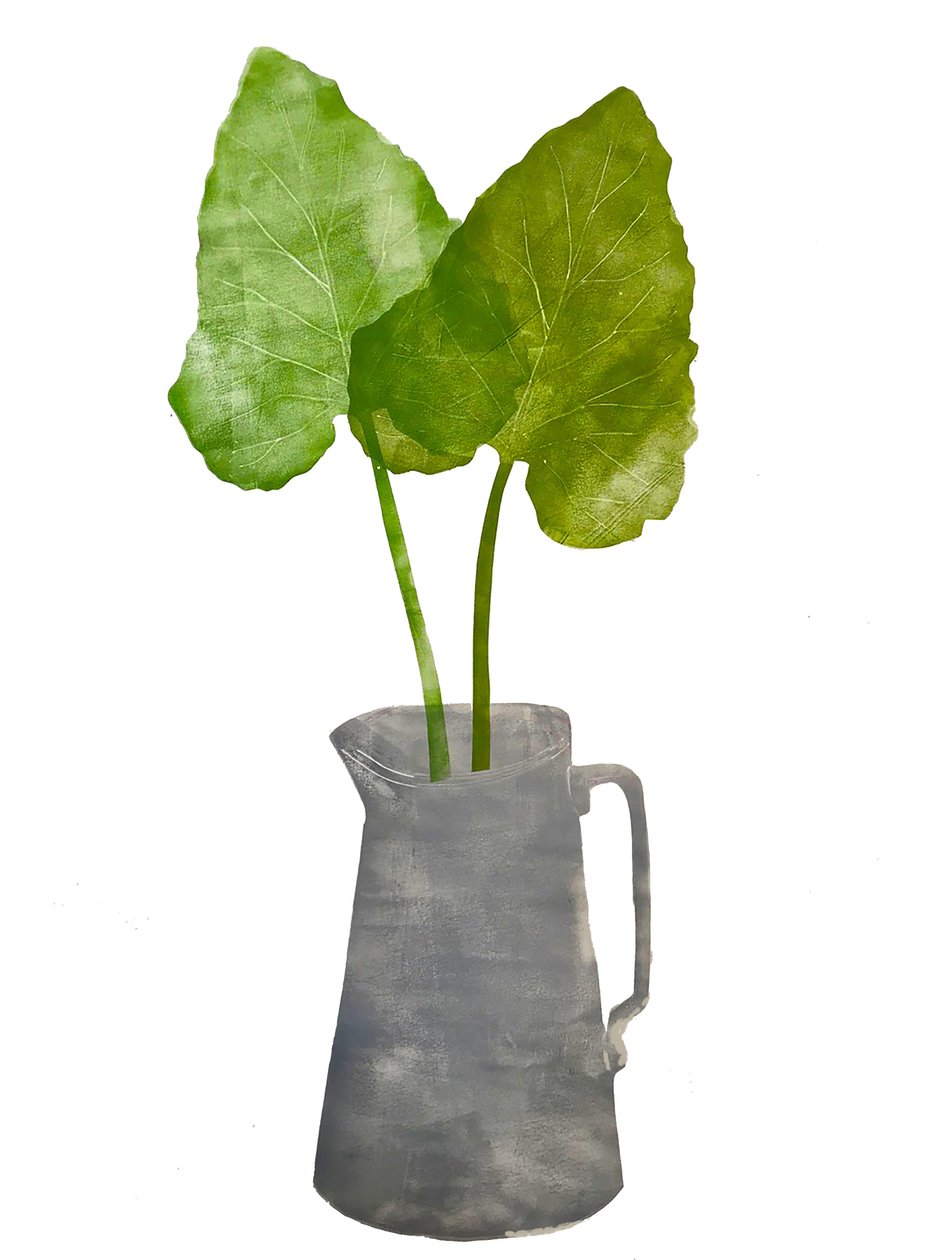 Pichet gris avec feuilles - Sarah Thompson Engels
