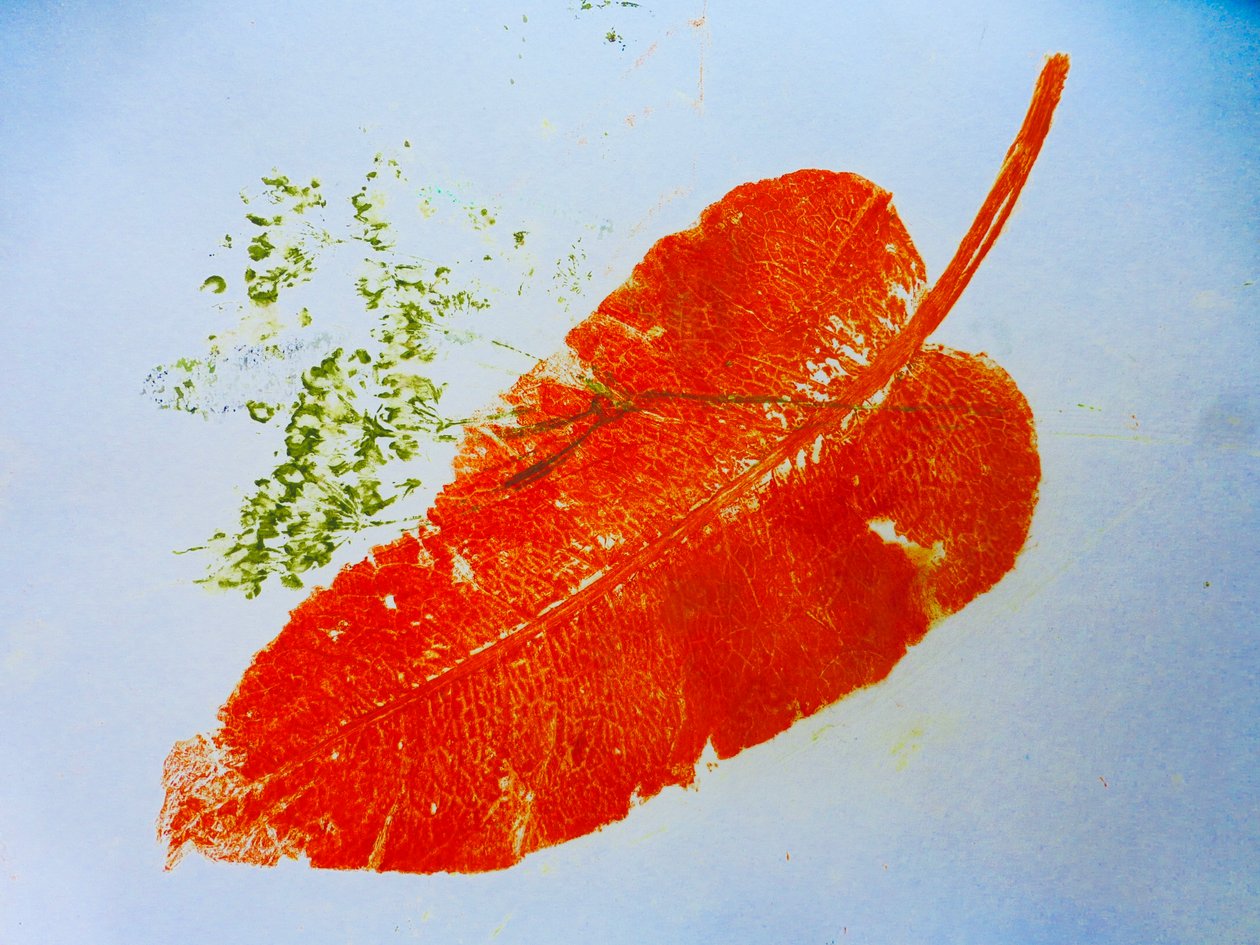 Feuille orange, 2020 - Sarah Thompson Engels