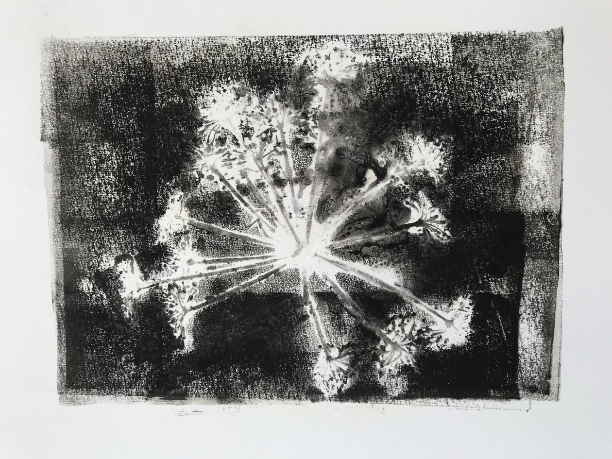Tête de graine II - Sarah Thompson Engels