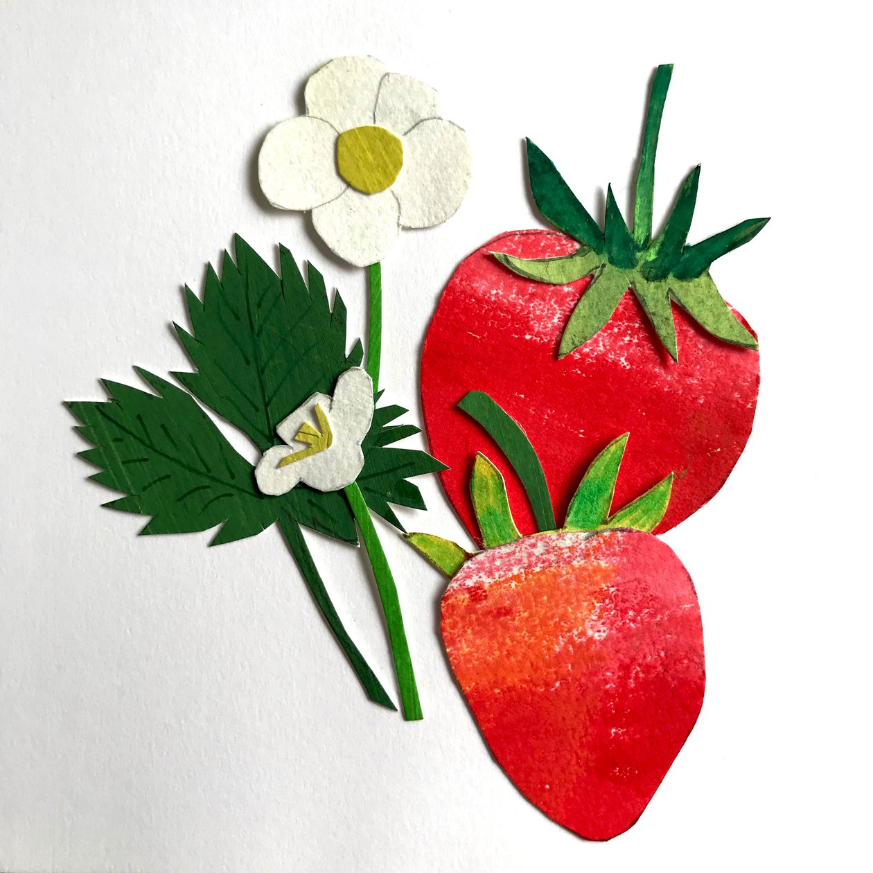 Fraises, 2019 - Sarah Thompson Engels