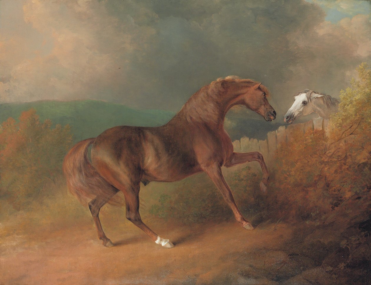 Jupiter du Colonel Thornton, par Eclipse d