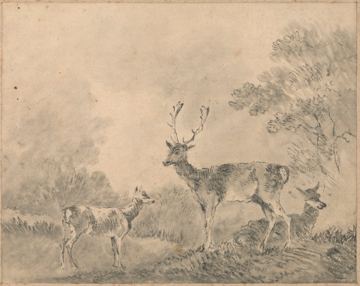 Cerfs: Cerf, Biche et Faon dans une clairière - Sawrey Gilpin