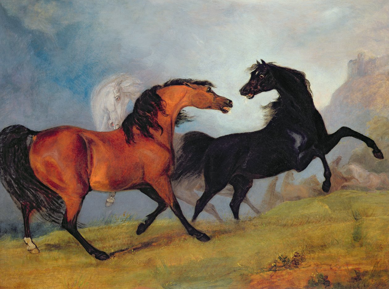 Chevaux se battant - Sawrey Gilpin