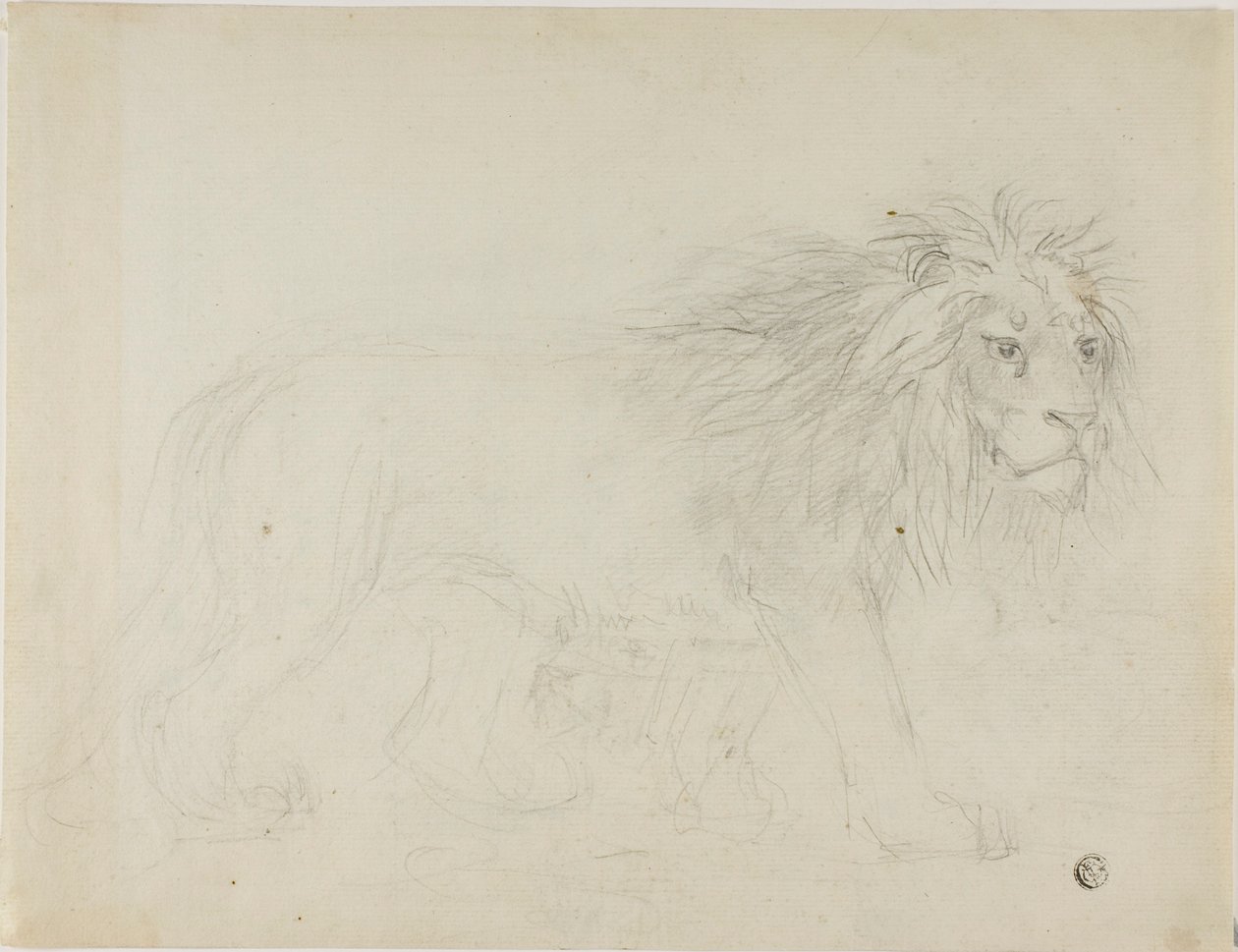 Lion - Sawrey Gilpin