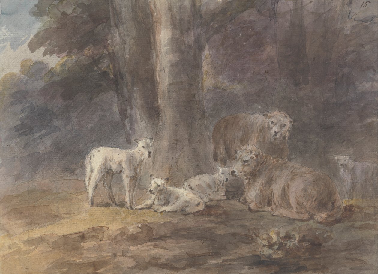 Moutons sous un arbre - Sawrey Gilpin