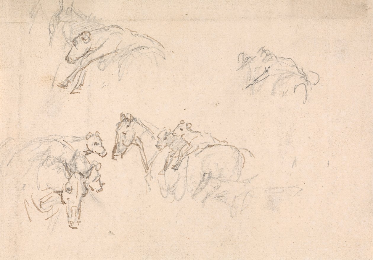 Étude de chevaux portant des veaux sur leur dos - Sawrey Gilpin
