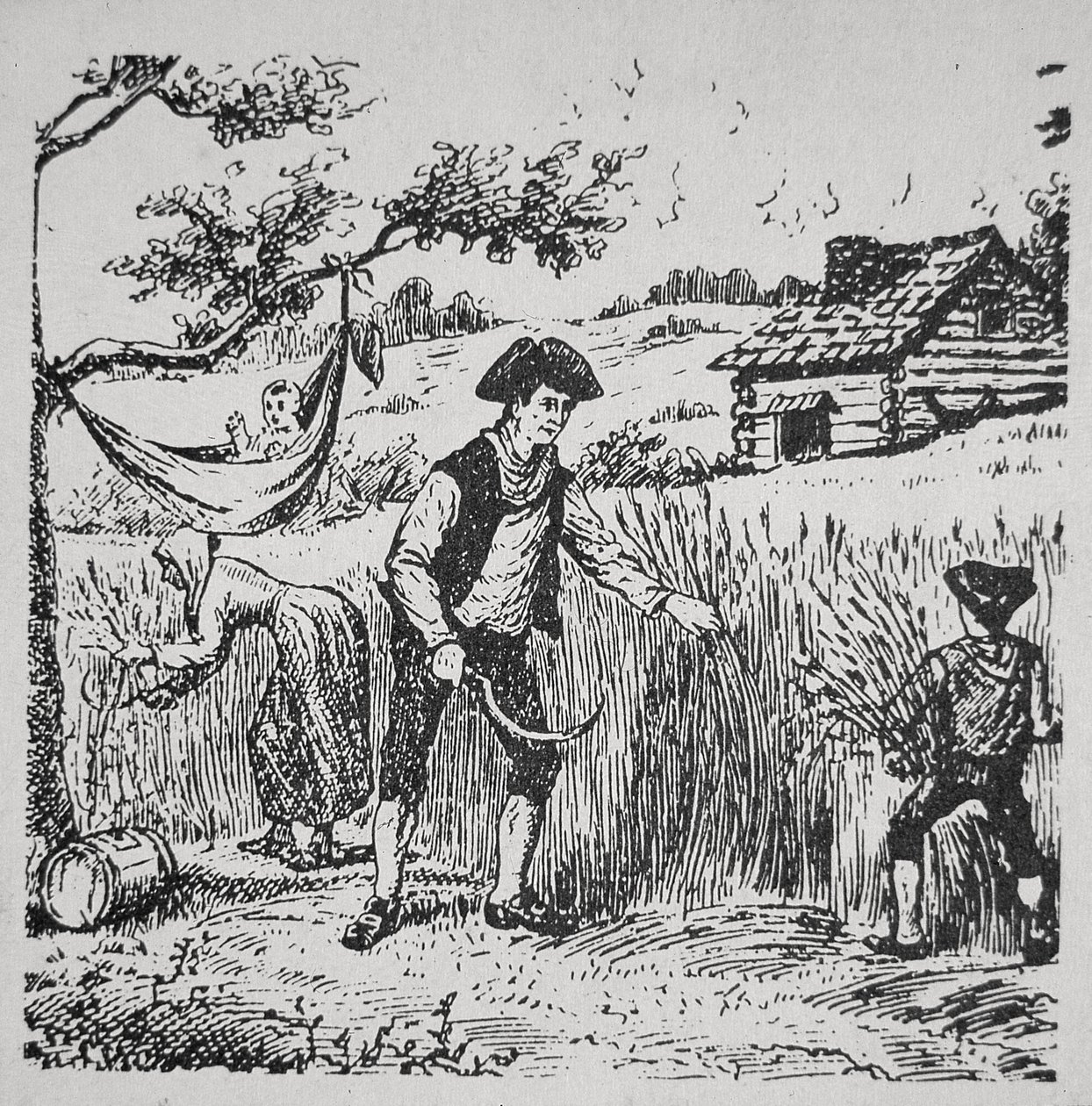Une famille récoltant du maïs - School American