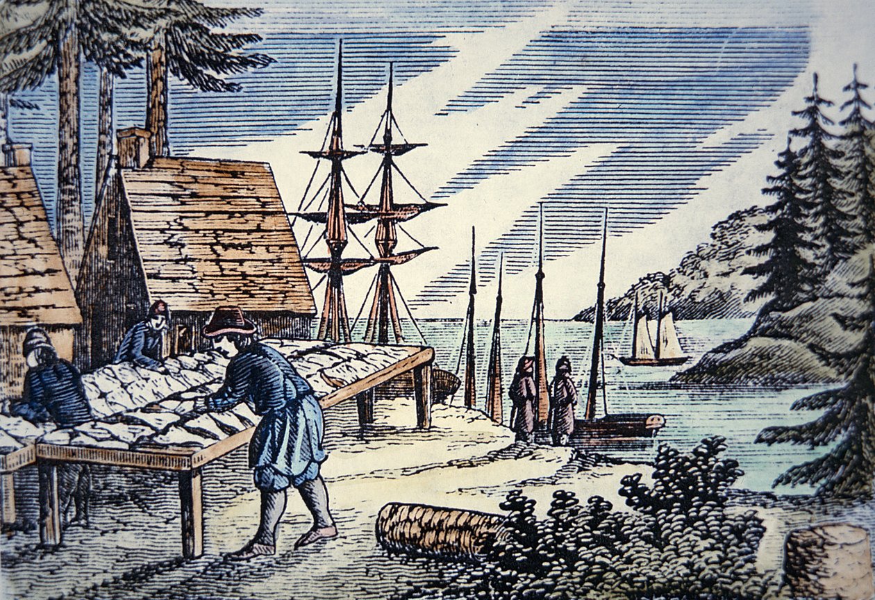 Pêcheurs séchant la morue en Nouvelle-Angleterre, d