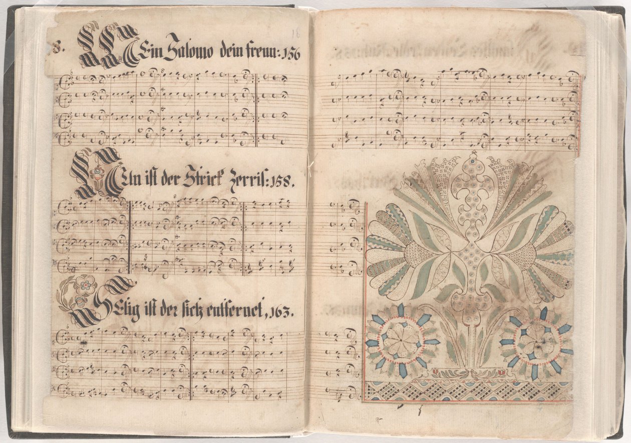 Pages d