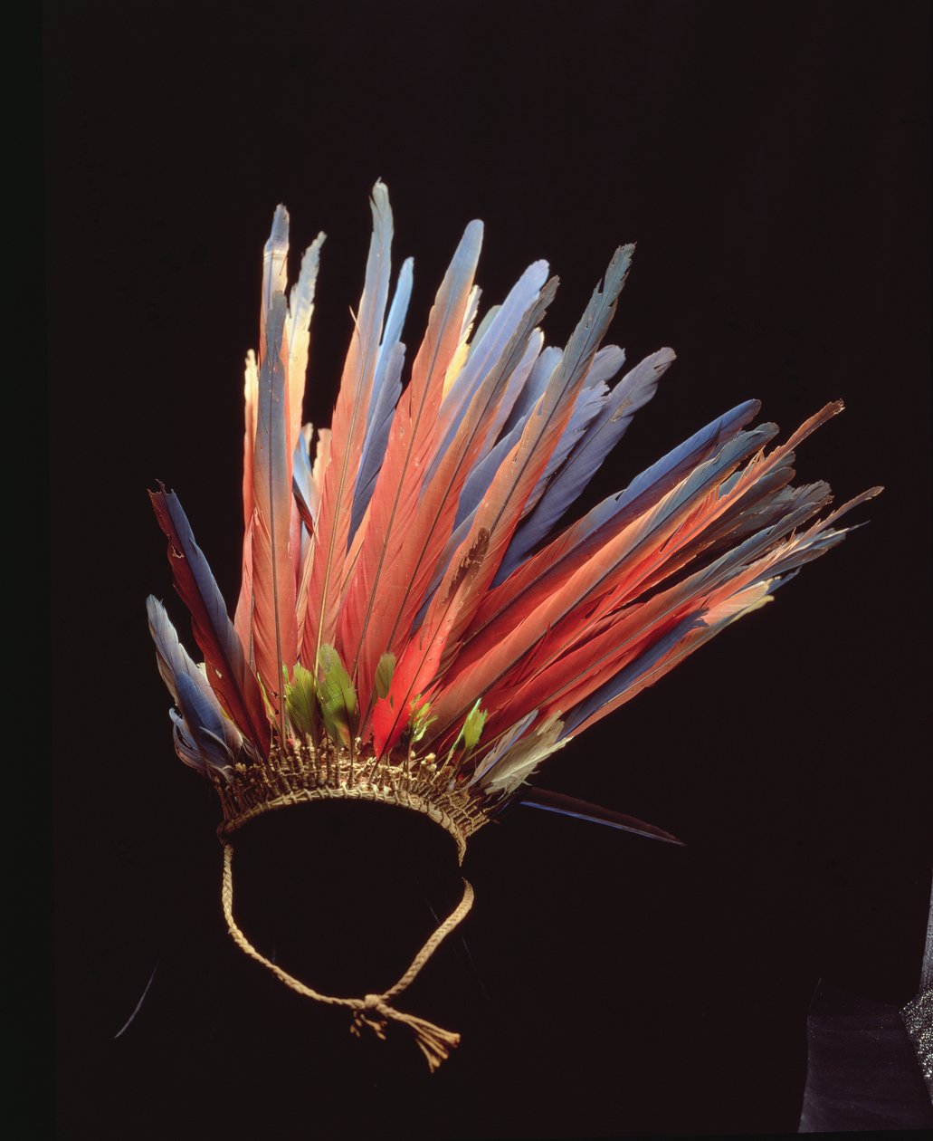 Coiffe, avant 1853 (fibres et plumes) - School Brazilian