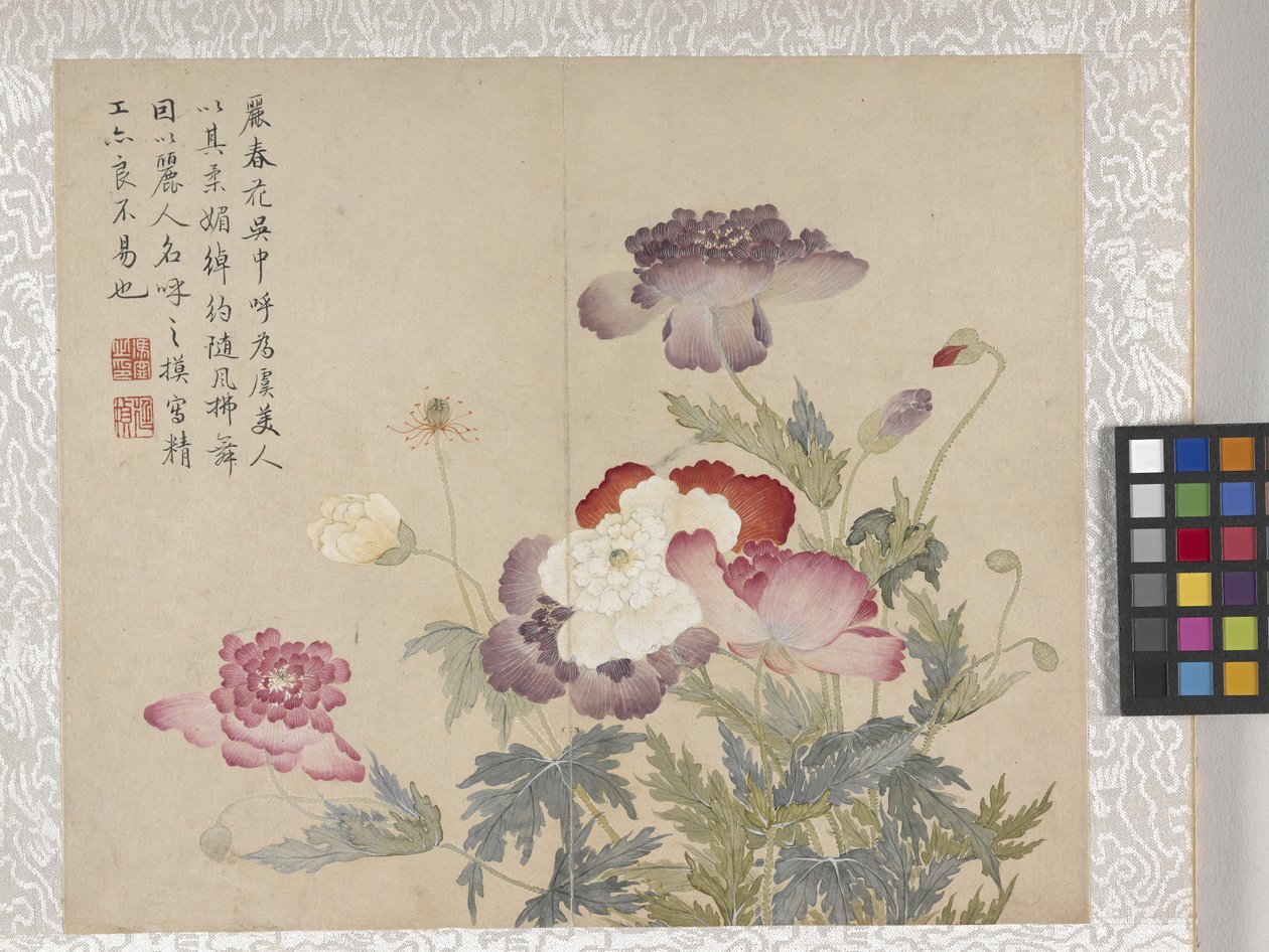Album de 8 feuilles de fleurs, milieu des années 1700 - School Chinese