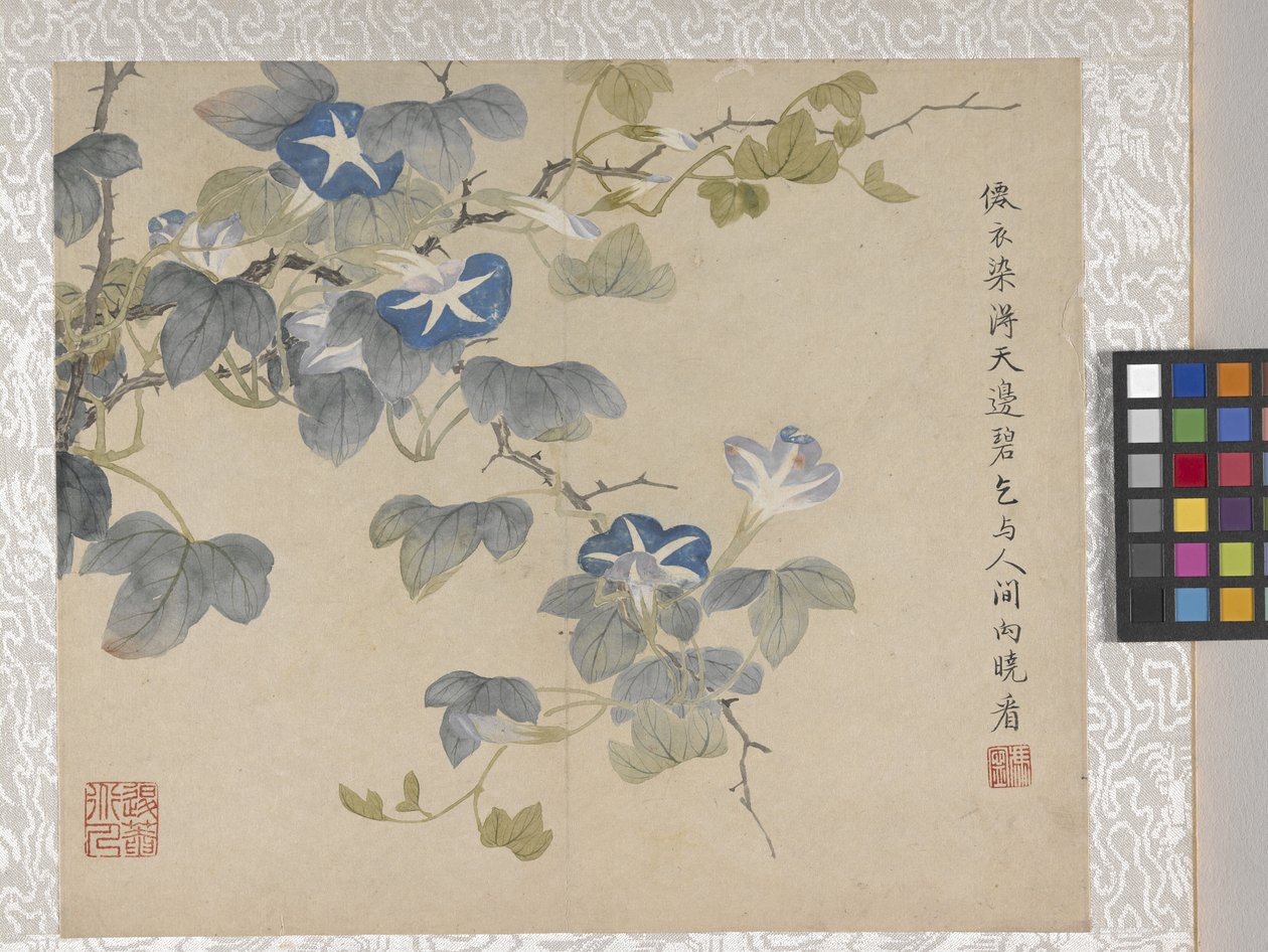 Album de 8 feuilles de fleurs, milieu des années 1700 - School Chinese