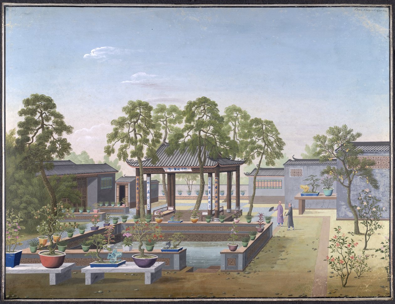 Dessin du jardin d
