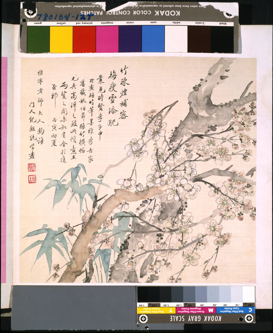Album de fleurs et d