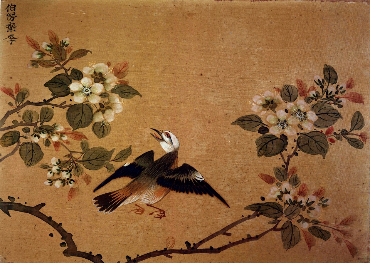 Art chinois: oiseau et fleurs. Peinture sur soie du 16ème siècle. Paris, B.N. - School Chinese