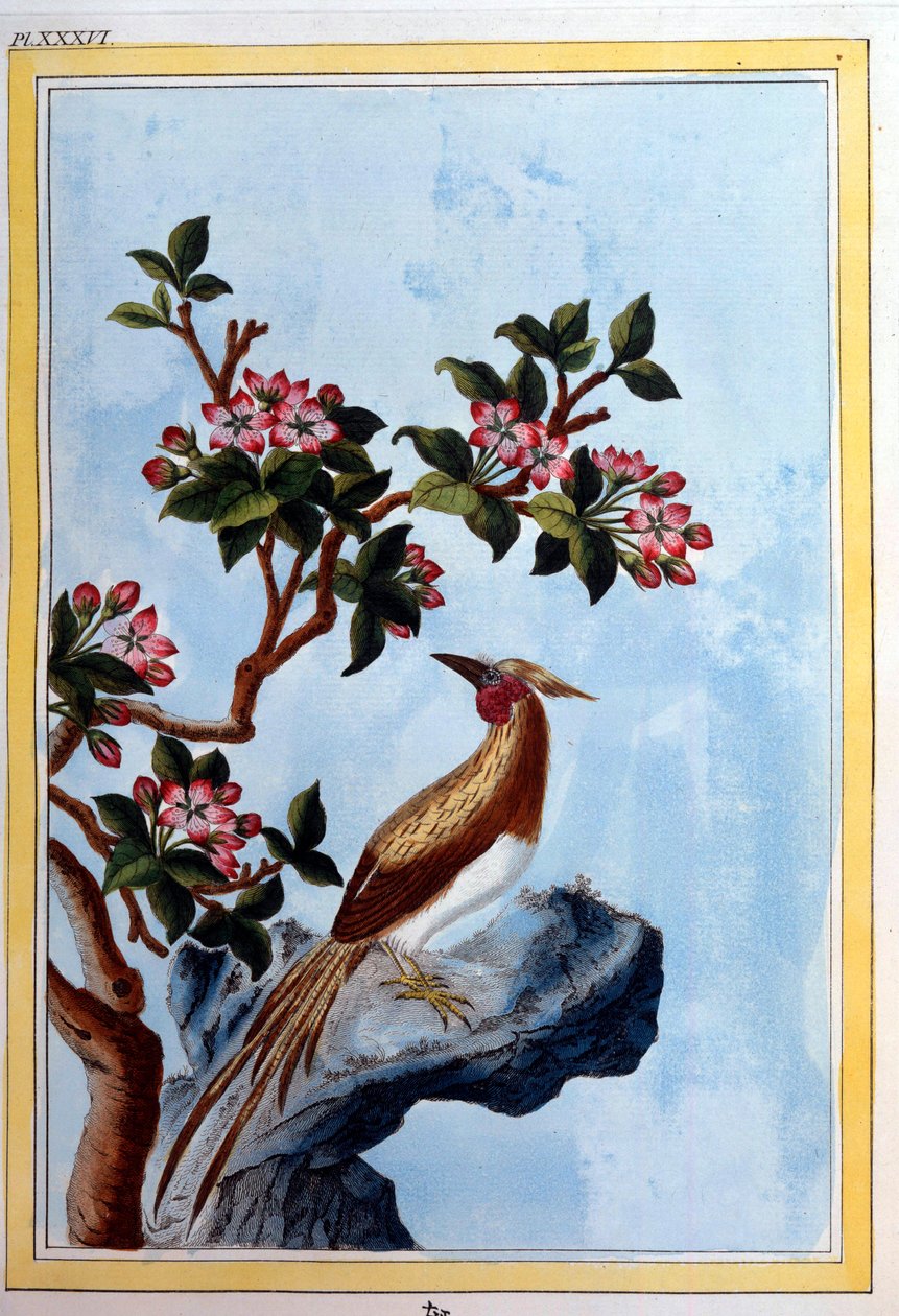 Art chinois : fleurs et oiseaux - School Chinese