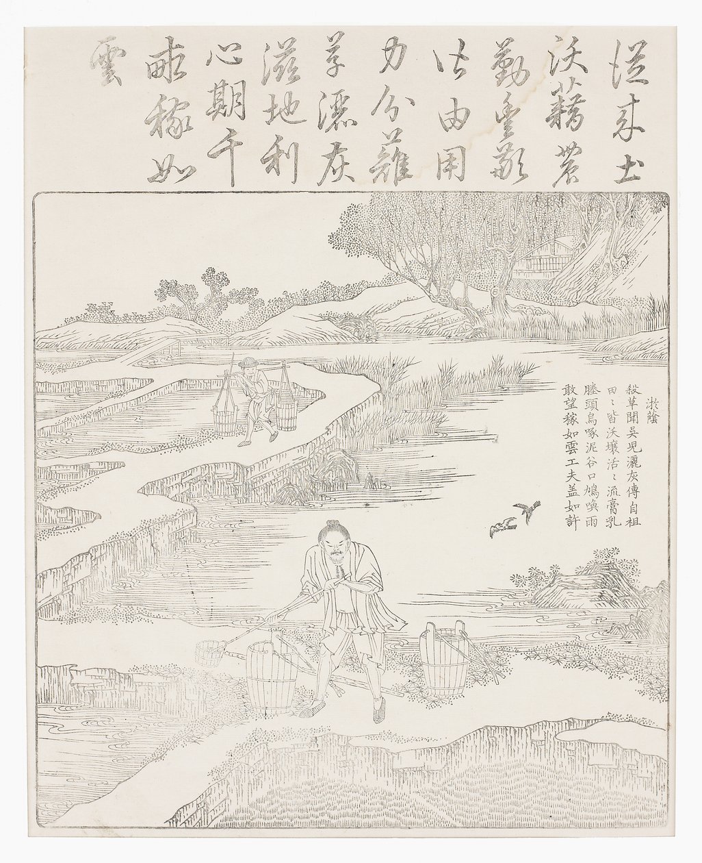 Fertilisation des plants de riz - School Chinese