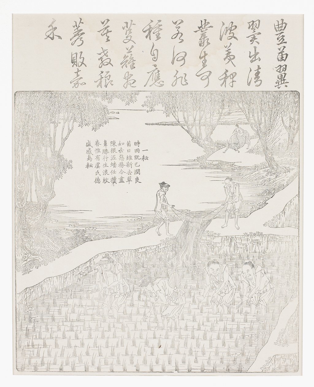 Irrigation du riz - School Chinese