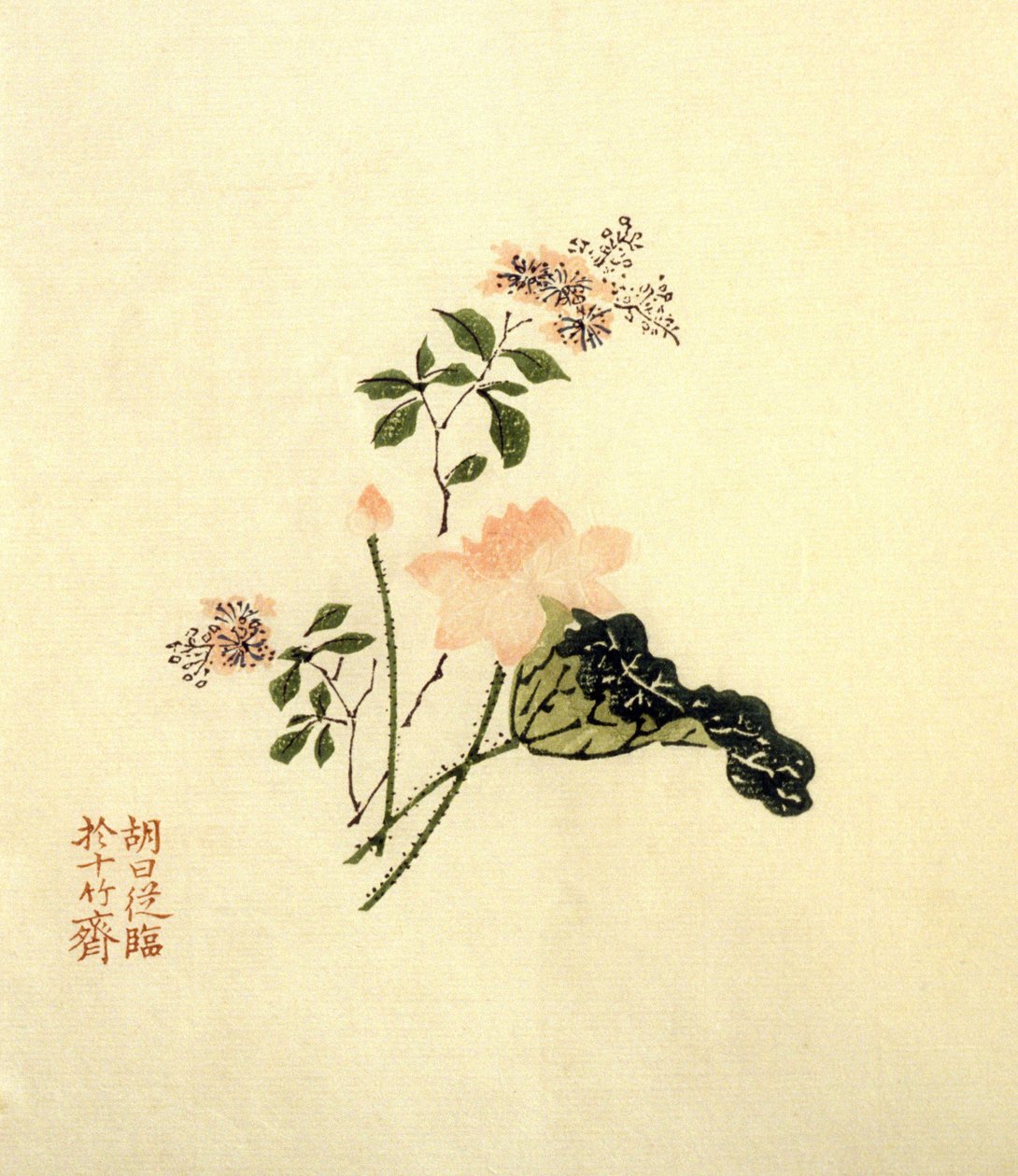 Fleur de lotus - encre sur papier, Chine - School Chinese