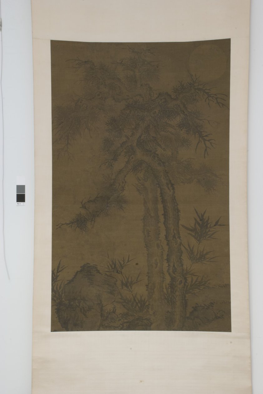 Vieux arbres sous la lune - School Chinese