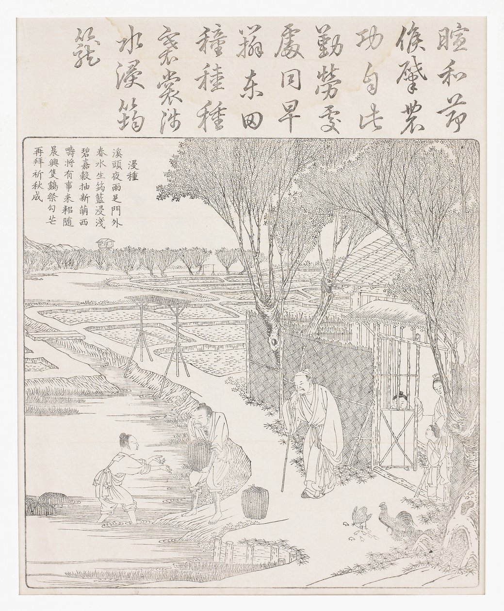 Placer le riz en eau pour aider à la germination - School Chinese