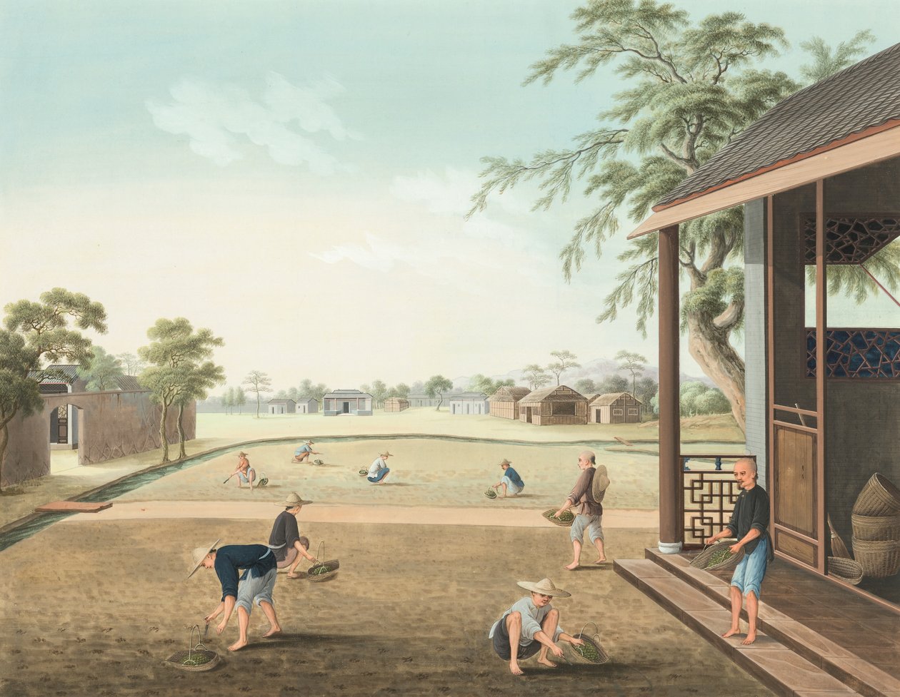 Production de thé, vers 1820 - School Chinese