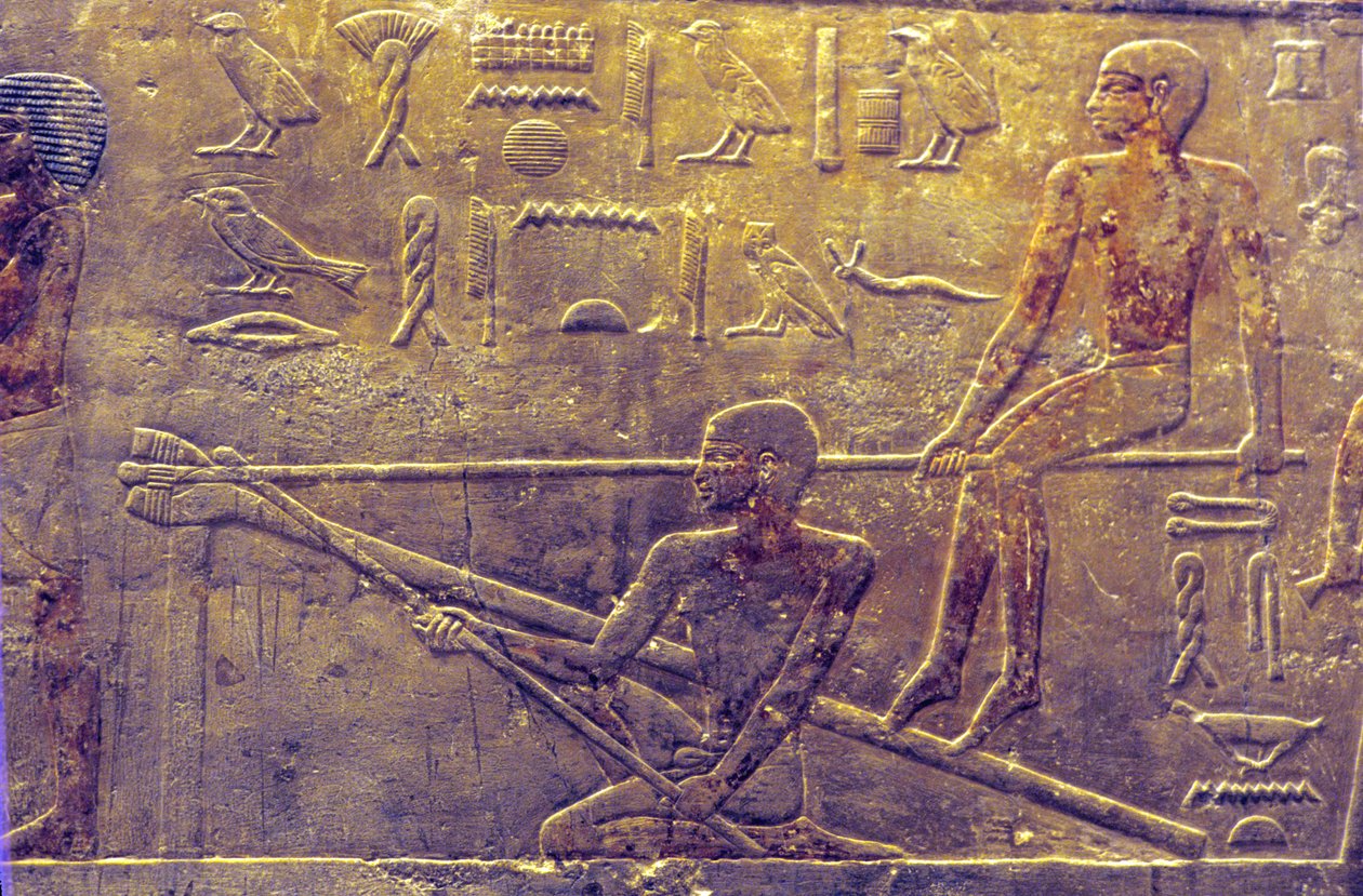 Égypte ancienne, sculpture/peinture murale, mastaba/tombeau de Ti, Saqqarah, 5e dynastie, construction navale - School Egyptian